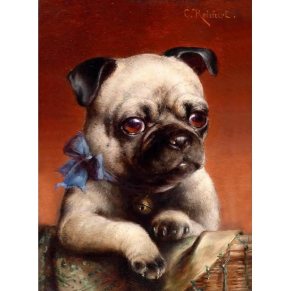 Алмазна мозаїка за номерами 40*50 "Мопс" карт уп. (полотно на рамі)