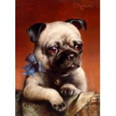 Алмазна мозаїка за номерами 40*50 "Мопс" карт уп. (полотно на рамі)