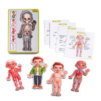 Сортер-пазл Анатомія людини Хлопчик Ubee ПСФ026