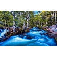 Алмазна мозаїка Ріка в лісі 30×40 см 60821