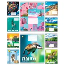 Тетради ученические 48 листов линия Тверда Мікс 4, 10 шт. в упаковке