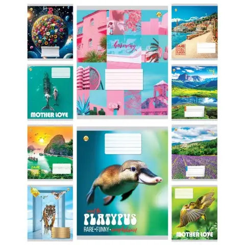 Тетради ученические 48 листов линия Тверда Мікс 4, 10 шт. в упаковке