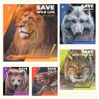 Зошити учнівські 18 аркушів клітинка Тверда ТЕ21211 Хижаки, 20 шт. в упаковці