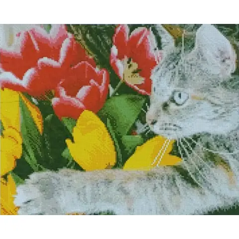Набір для творчості алмазна картина Котик з тюльпанами Strateg D0053, 40x50 см