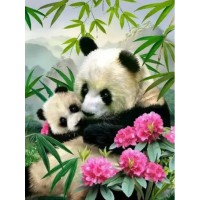 Алмазна мозаїка на підрамнику Панди 40×50 см 71792_BGLE