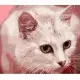 Набір для розпису по номерах Жовтоокий кіт, Strateg, 40x50 см, GS1325