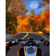 Набір для розпису по номерах На мотоциклі восени, Strateg, 30x40 см, SS6761