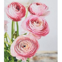 Набір для творчості алмазна картина Рожева симфонія Strateg HEG87059, 30x40 см