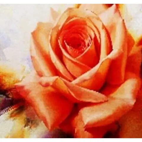 Алмазна мозаїка за номерами Троянда 71250_BGLE, 40x50 см, полотно на рамі