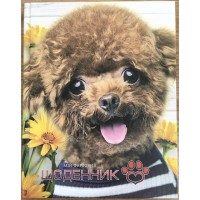 Щоденник шкільний, 165x208 мм, обкладинка 7БЦ, 40 аркушів, SD1704