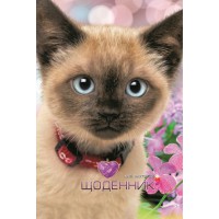 Щоденник, 70 г, 7БЦ, 165x240 мм, 40 аркушів, матова ламінація, 2234