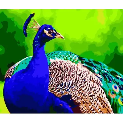 Набір для розпису по номерах Яскравий павлін, Strateg, 40x50 см, GS183