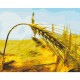Набір для розпису по номерах Житній колос, 40x50 см, BS6633