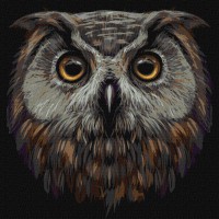 Набір для розпису по номерах Птах мудрості, 40x40 см, КНО4388