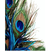 Набір для розпису по номерах Пір’я павича, Strateg, 40x50 см, GS1361