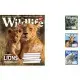 Зошити учнівські 18 аркушів клітинка. YES Wild life, 25 шт. в упаковці