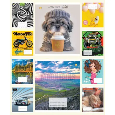 Тетради ученические 18 листов линия Люкс 12230 Мікс1, 20/480 20 шт. в упаковке