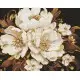 Алмазна мозаїка Біла ніжність з АВ стразами 40×50 см AMO8006
