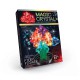 Набір для дослідів Magic Crystal, Danko Toys