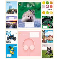 Зошити учнівські 24 аркуша лінія Тверда ТЕ22308 24ЛВ2 МІКС, 20 шт. в упаковці