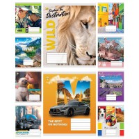 Зошити учнівські 24 аркуша клітинка Тверда ТЕ41305 Мікс 5, 20 шт. в упаковці