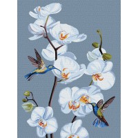 Набір для розпису по номерах Квітучі орхідеї, 30x40 см, КНО3241