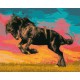 Набір для розпису по номерах Величний мустанг, 40x50 см, КНО4339