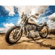 Алмазна мозаїка на підрамнику Мотоцикл 40×50 см 70766_BGLE