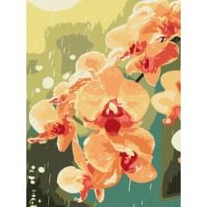 Набір для розпису по номерах "Орхідея в краплях" Ideyka 30х40см КНО3325