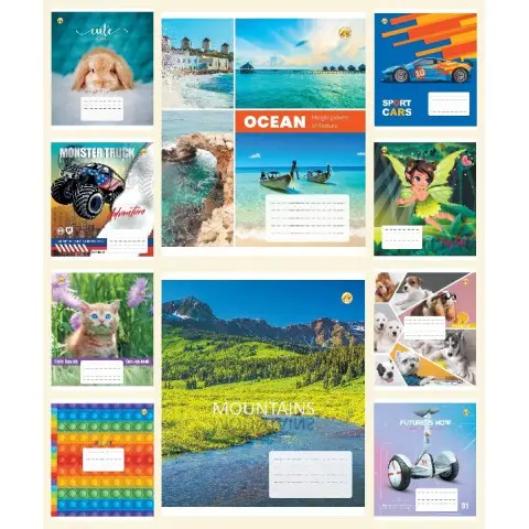 Тетради ученические 12 листов линия Твердая ТЕ22107 12ЛВ3 МИКС, 25 шт. в упаковке