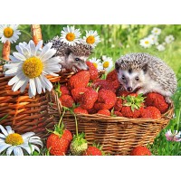 Пазл Кастор Полуниця і їжачки 200 елементів B-222025