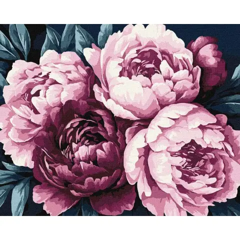 Набір для розпису по номерах Ніжні пелюстки, Ideyka, 40x50 см, КНО3306