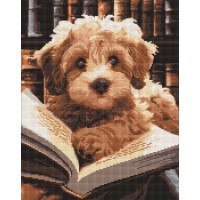 Набір з алмазною мозаїкою Пухнастий читач AMO7973, 40x50 см