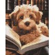 Набір з алмазною мозаїкою Пухнастий читач AMO7973, 40x50 см