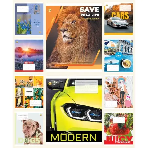 Тетради ученические 18 листов клетка Тверда ТЕ21213 18КВ1 МІКС, 20 шт. в упаковке