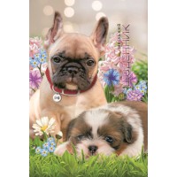 Щоденник, 70 г, 7БЦ, 165x240 мм, 40 аркушів, матова ламінація, 2238