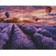 Набір з алмазною мозаїкою Квітуча лаванда, 40x50 см