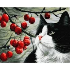 Алмазна мозаїка на підрамнику "Кіт" Josef Otten 40х50см, у картонній упаковці, 71273_BGLE