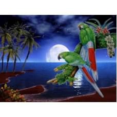 Алмазна мозаїка на підрамнику "Папуги" Josef Otten 40х50см, у картонній упаковці, 71322_BGLE