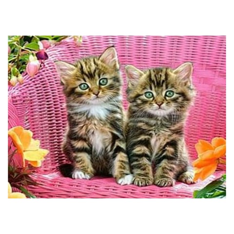 Алмазна мозаїка "Пухнаті близнюки" 178195 картон, неповна викладка 21х25 см