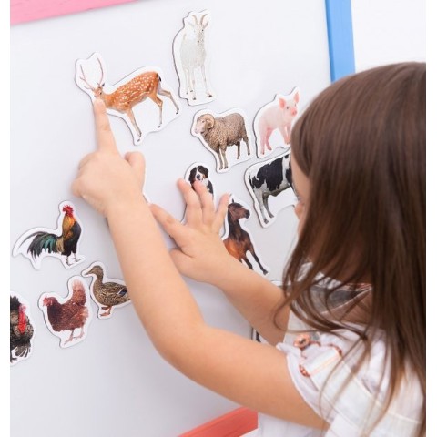 Набір магнітів Magdum "Ферма реалістичні" ML4031-04 EN