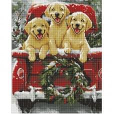 Алмазна мозаїка "Собача поїздка" AMO20006, 40х50 см