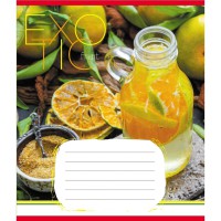 Зошит учнівський "Екзотичні фрукти" 048-590098K-3 в клітинку, 48 аркушів