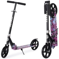 Самокат дитячий iTrike SR2-010-2-WP4 складний