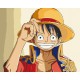 Картина за номерами "Луффі Солом'яний Капелюх" 16059-AC 40х50 см