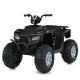 Дитячий електромобіль Квадроцикл M 6060EL-2 (24V) до 35 кг