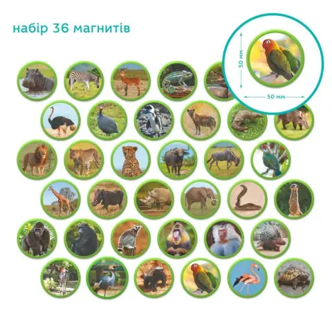 Дитячий магнітний набір Монтесорі "Тварини на континентах: Африка" DoDo Toys 200284, 36 елементів