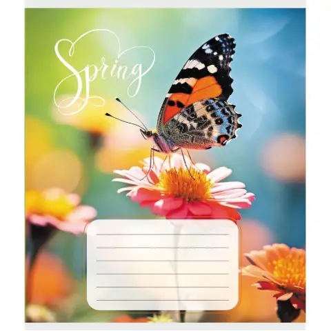 Зошит учнівський "Метелик весною" 018-530216K-3 в клітинку, 18 аркушів