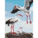 Алмазна мозаїка "Сім’я лелек" AMO8063, 30х40 см