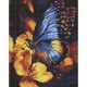 Алмазна мозаїка "Мерехтіння крил" AMO8287, 40х50 см